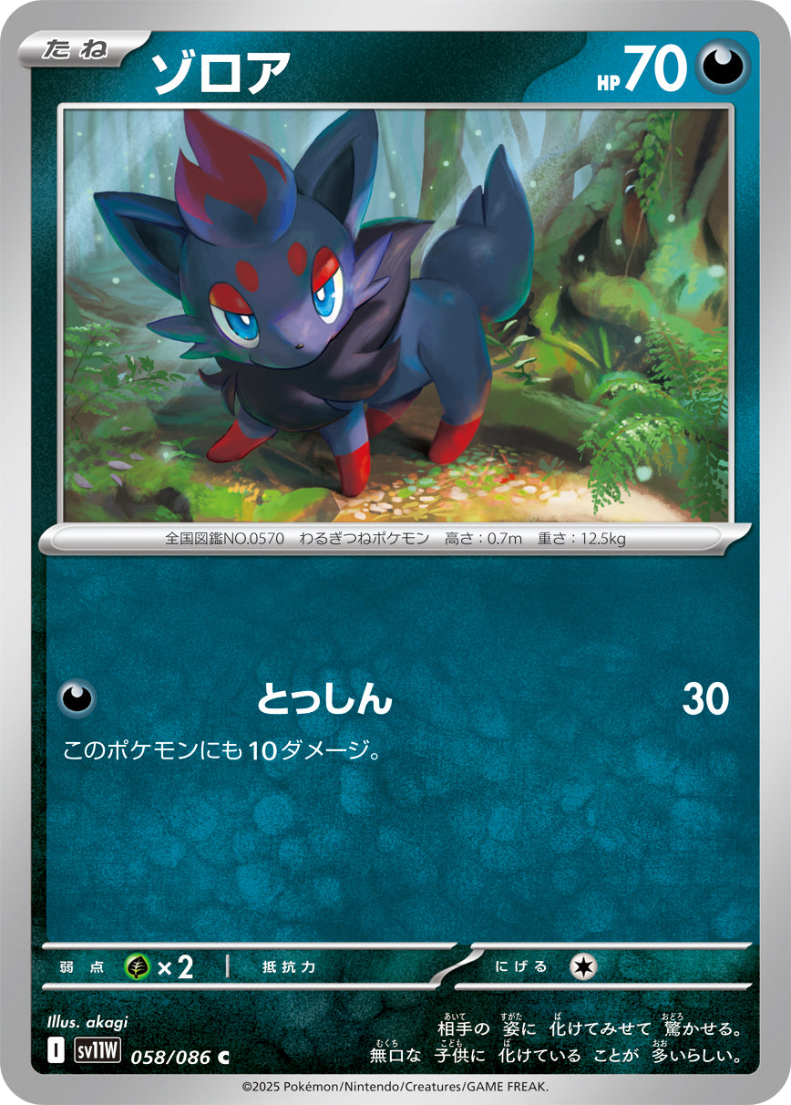ゾロア(058/086)【C】【SV11W】