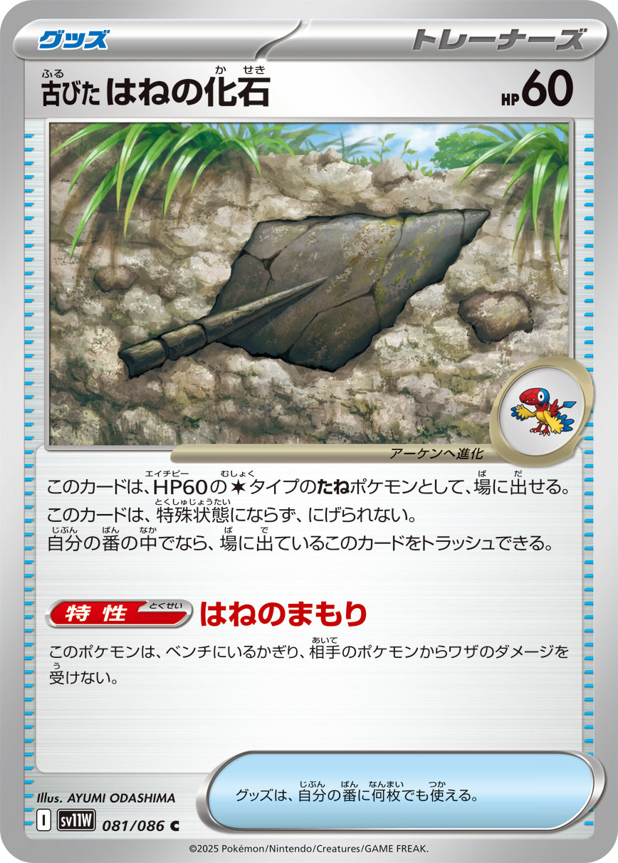 古びたはねの化石(081/086)【C】【SV11W】